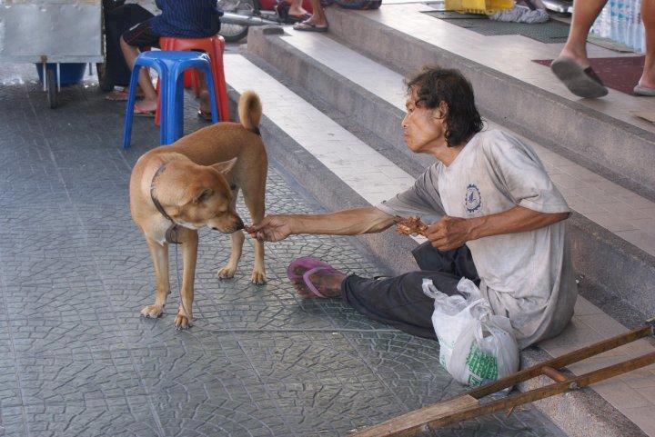 ชื่อ:  4dog.jpg
ครั้ง: 546
ขนาด:  65.3 กิโลไบต์