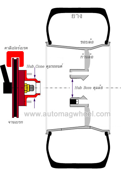 ชื่อ:  Wheel-Section-2.jpg
ครั้ง: 934
ขนาด:  29.6 กิโลไบต์