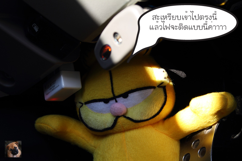 ชื่อ:  IMG_3350.jpg
ครั้ง: 568
ขนาด:  123.2 กิโลไบต์