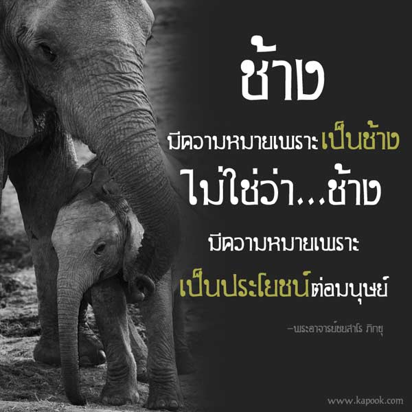 ชื่อ:  elephant.jpg
ครั้ง: 368
ขนาด:  40.4 กิโลไบต์