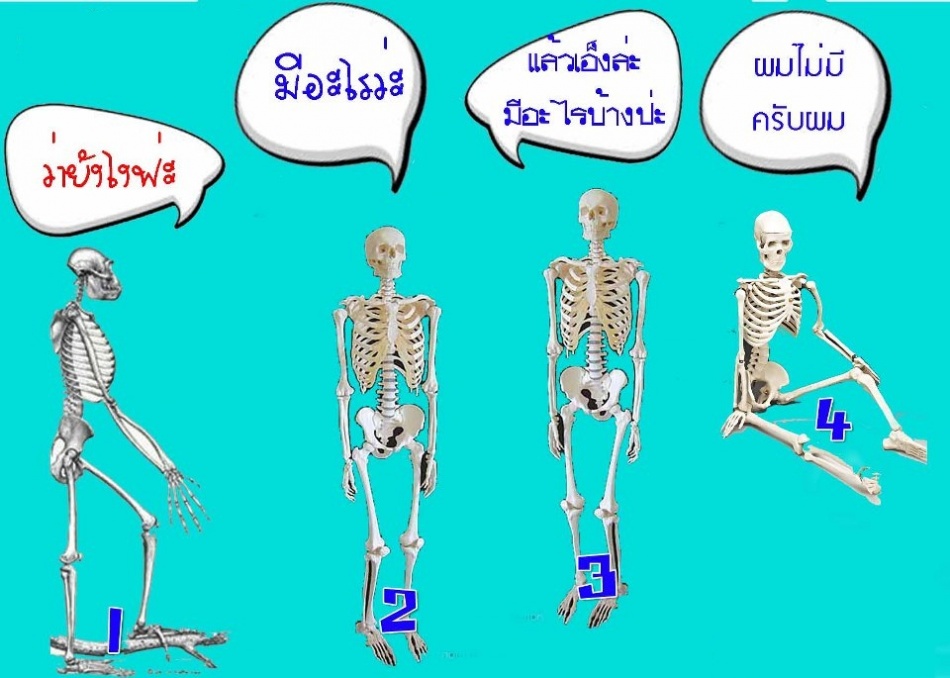 ชื่อ:  543833_520708084620013_1164952353_n.jpg
ครั้ง: 6484
ขนาด:  152.8 กิโลไบต์