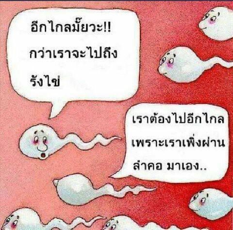 ชื่อ:  sprem.jpg
ครั้ง: 359
ขนาด:  55.5 กิโลไบต์