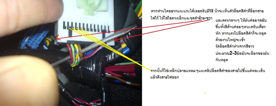 ชื่อ:  DSC00871.jpg
ครั้ง: 1659
ขนาด:  106.8 กิโลไบต์