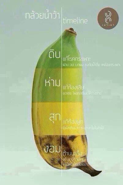 ชื่อ:  กล้วย.jpg
ครั้ง: 371
ขนาด:  22.9 กิโลไบต์